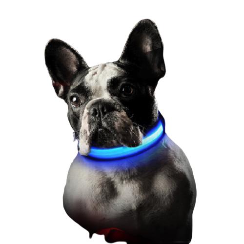 LED DOG COLLAR - Womenwares.com