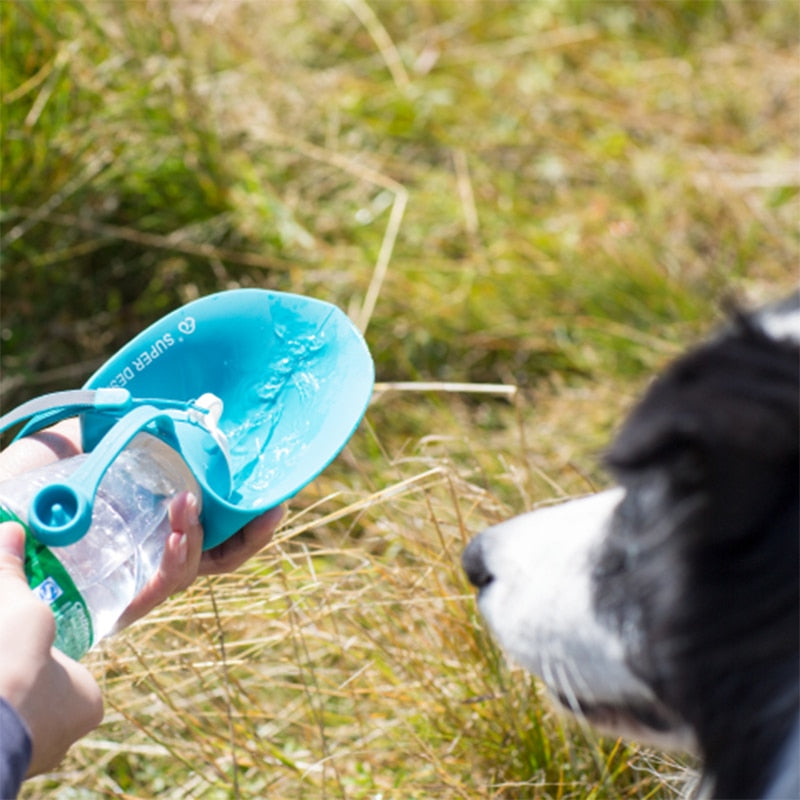 m&m pet dog water bottle