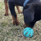 Chew Toys Ball for your pet