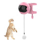 New Electric Cat Toy Funny Cat Teaser Ball - Womenwares.com