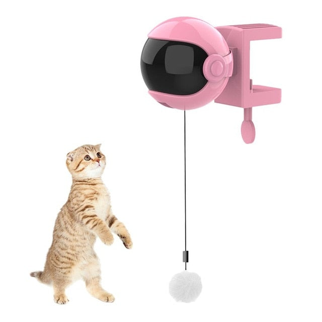 New Electric Cat Toy Funny Cat Teaser Ball - Womenwares.com