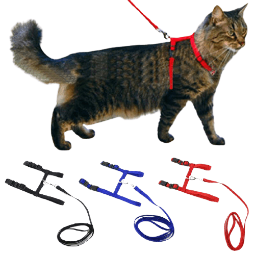 Adjustable Cat Dog Collar Belt - Womenwares.com