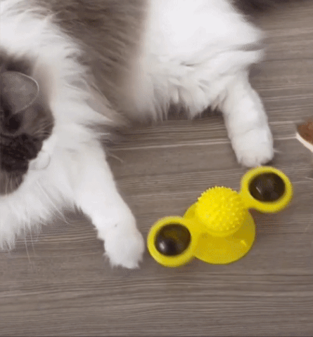 Pet Cat Windmill Turntable Toys